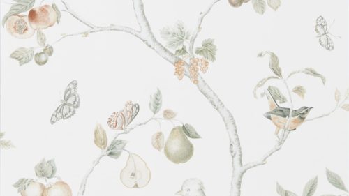 Fruit Aviary 216313
